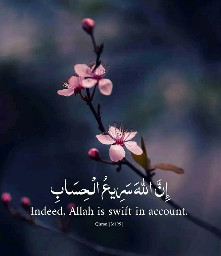 Al_Quran_011's tweet image. Indeed, ALLAH is swift in account.

#Allah #IslamExplorer #Hadith #Quran #Islam