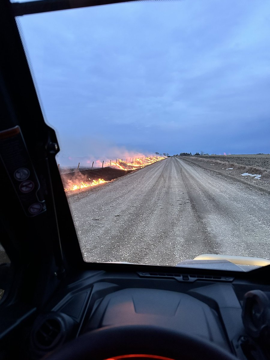 Dusty Rich 🇺🇸 tweet media