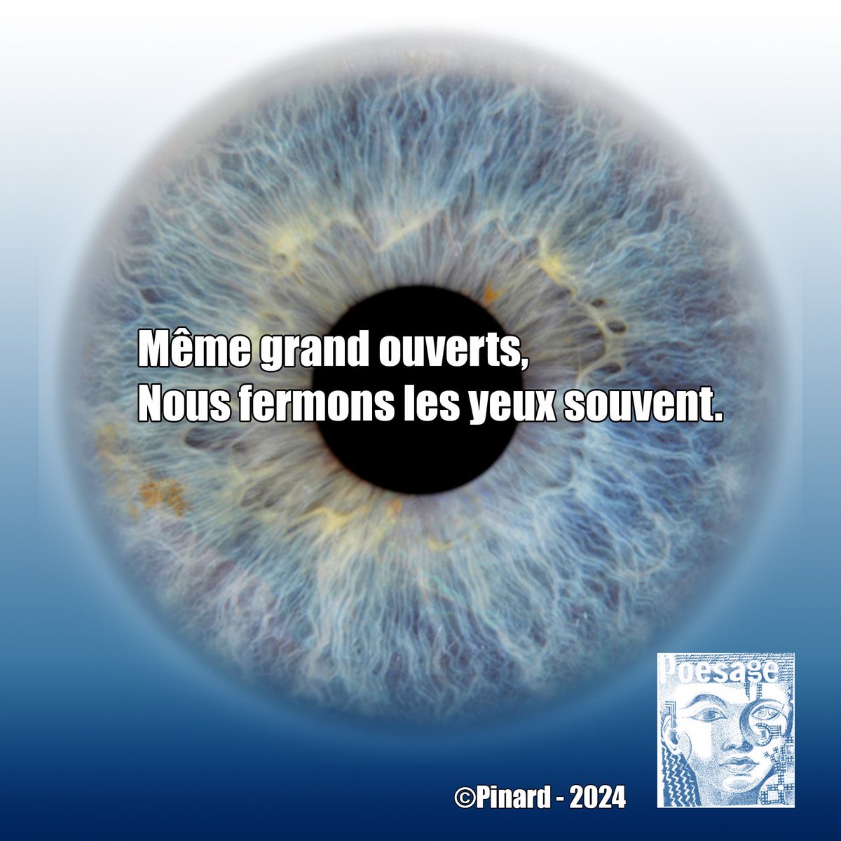poesage_27's tweet photo. Même grand ouverts,
Nous fermons les yeux souvent.

©Pinard – 2024

#yeux #fermer #conscience #ouvert #sourdeoreille #detourner #ignorer #negliger #oublier
#poesie #poetry #instapoem #instapoetry #ecriture #writing #auteurfrancais https://t.co/iNI8yHrqoV