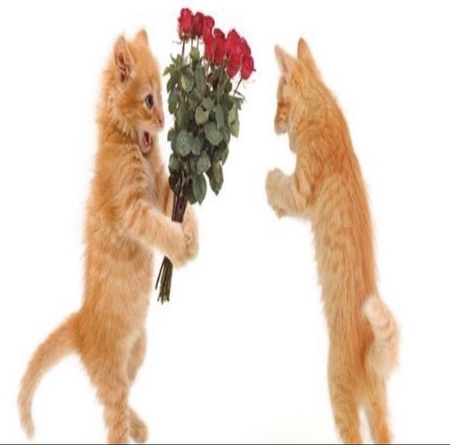 fleshhhive's tweet photo. happy valentinez 2 my love https://t.co/Rg6FLwxXE6