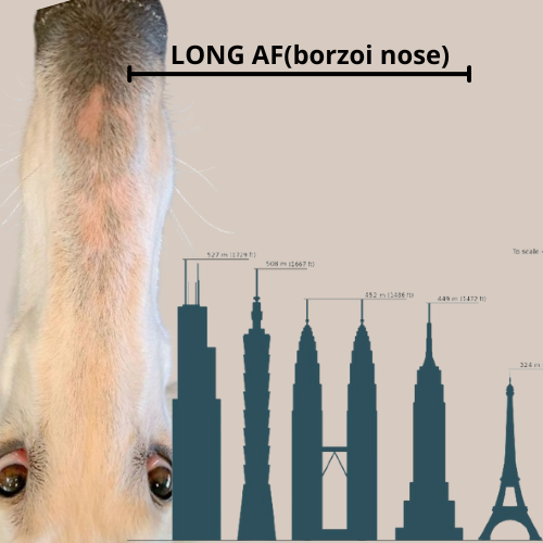 BADGER SNIFS BLOCKCHAIN tweet media