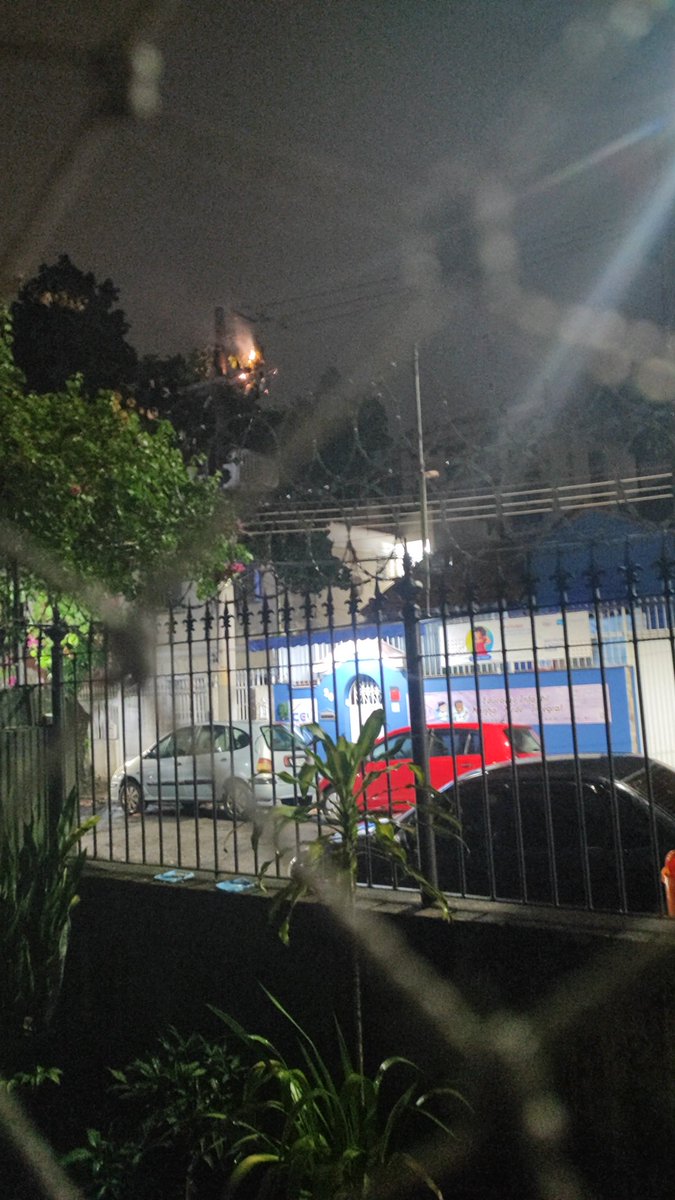 Lais Baptista tweet media