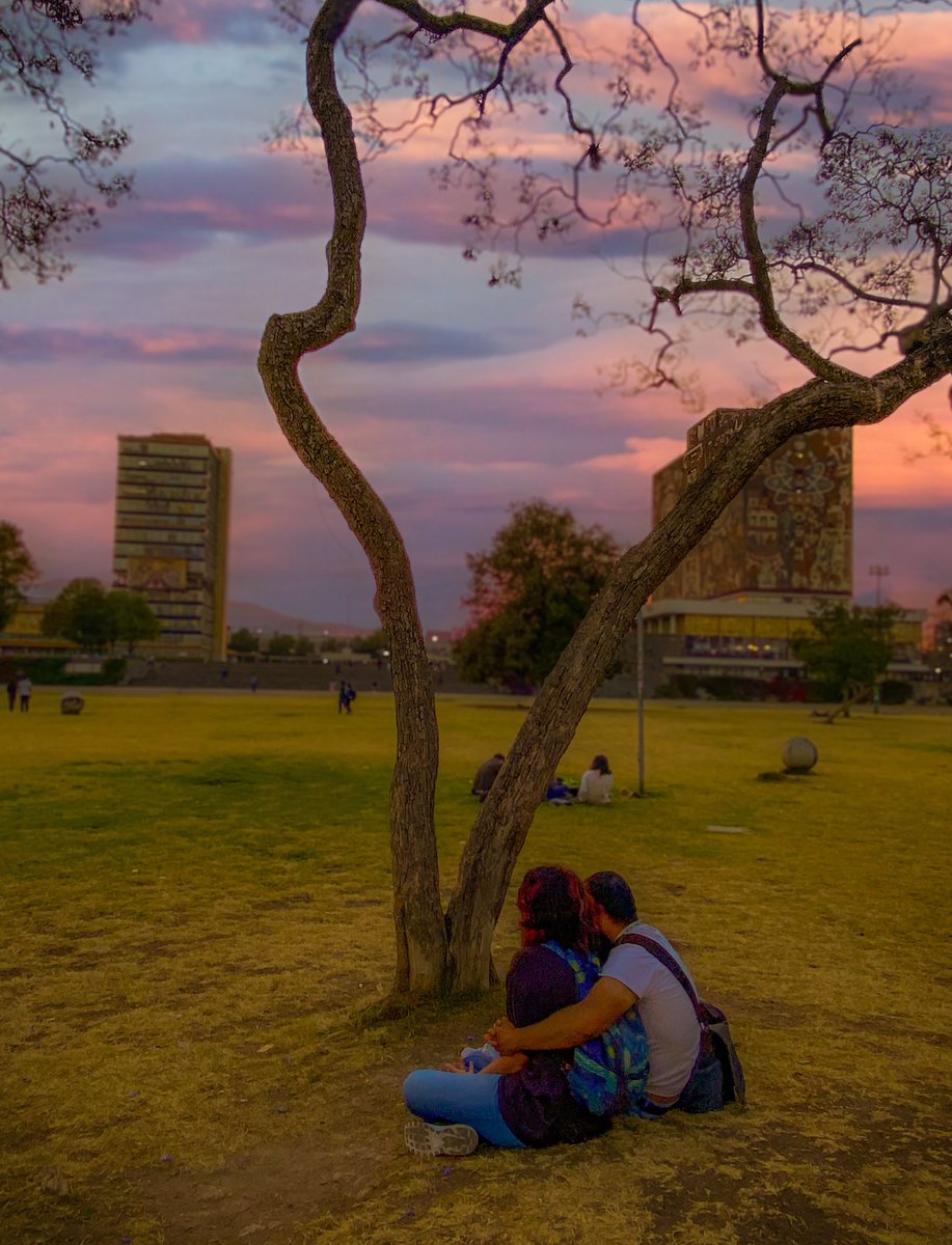 Amor 💙💛 #UNAM #DiaDelAmorYlaAmistad