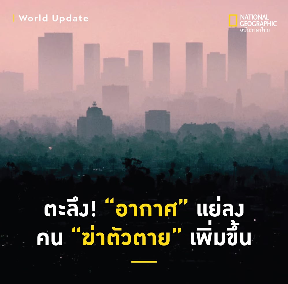 NatGeoMagTH's tweet image. “มลพิษทางอากาศ” ที่ “เพิ่มขึ้นอย่างรวดเร็ว” อาจเพิ่มความเสี่ยงในการ “ฆ่าตัวตาย”
.
งานวิจัยยืนยัน มลพิษทางอากาศที่หนาแน่นจากการจราจร โรงงาน โรงไฟฟ้าถ่านหิน และเตาผิงในบ้าน เพิ่มความเสี่ยงในการฆ่าตัวตายได้ (ทั้งหมดเป็นต้นกำเนิดฝุ่น PM2.5)
.
#ฝุ่นPM25 #ฝุ่นพิษ #ฝุ่นกทม #ฝุ่นกรุงเทพ