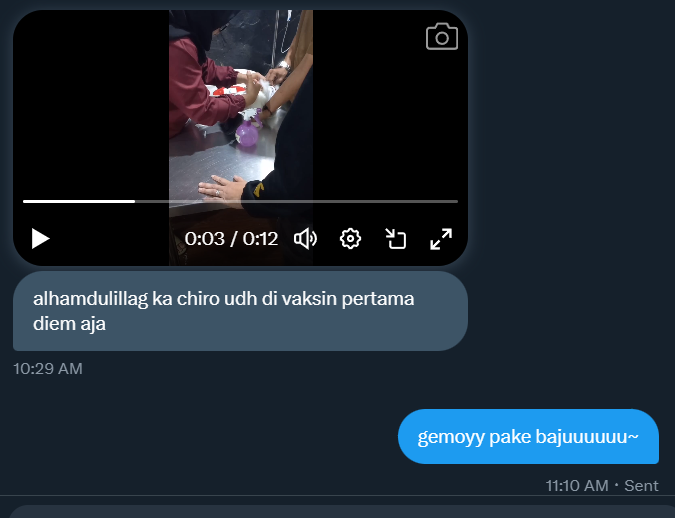 KucingGembala's tweet photo. ucul sekali chiro (prev sapi) udah vaksin pertama. ncus ncus nya pake baju yeyy.

ga menyangka bocil bocil udah genep 4 bulan kemaren pas valentine🥺💖. https://t.co/AKc2ccr2lv