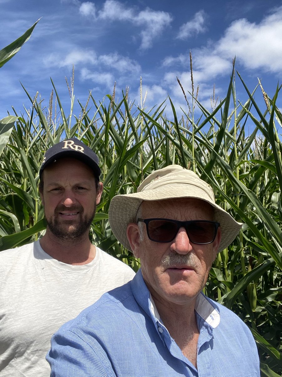 Brendan Williams tweet media