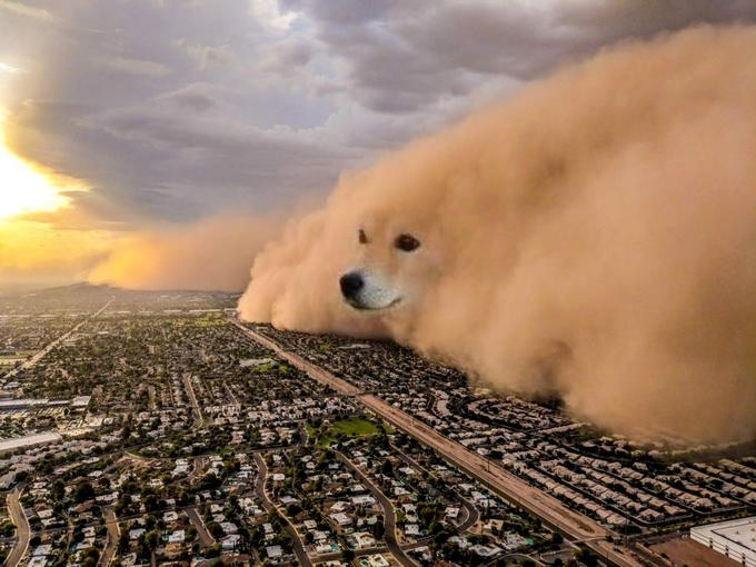 $SOGE It's DOGE, but on Solana! tweet media