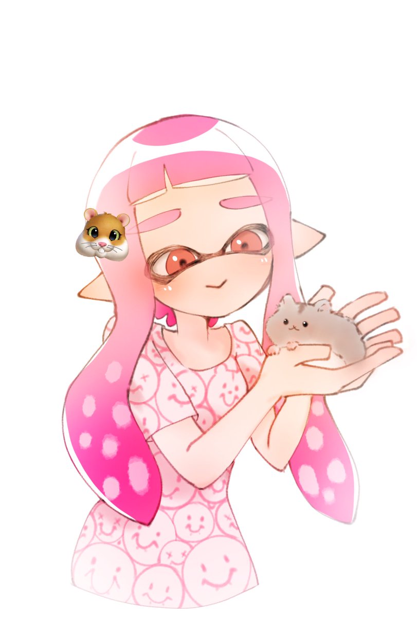 若軍鶏 -Wakasyamo- tweet media