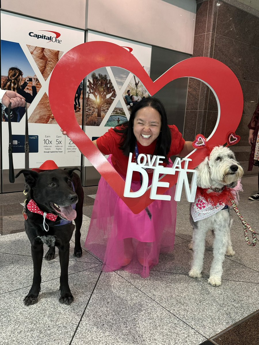 LisaCTruong's tweet image. Love is in the air(port)! ✈️ Making hearts soar at @DENAirport today- with puppy love! 🐶 Thank you CATS team for the being the cutest Valentines 💝 @APTherapyDogs 

#CATS #therapydog #FlyDEN #DENairport