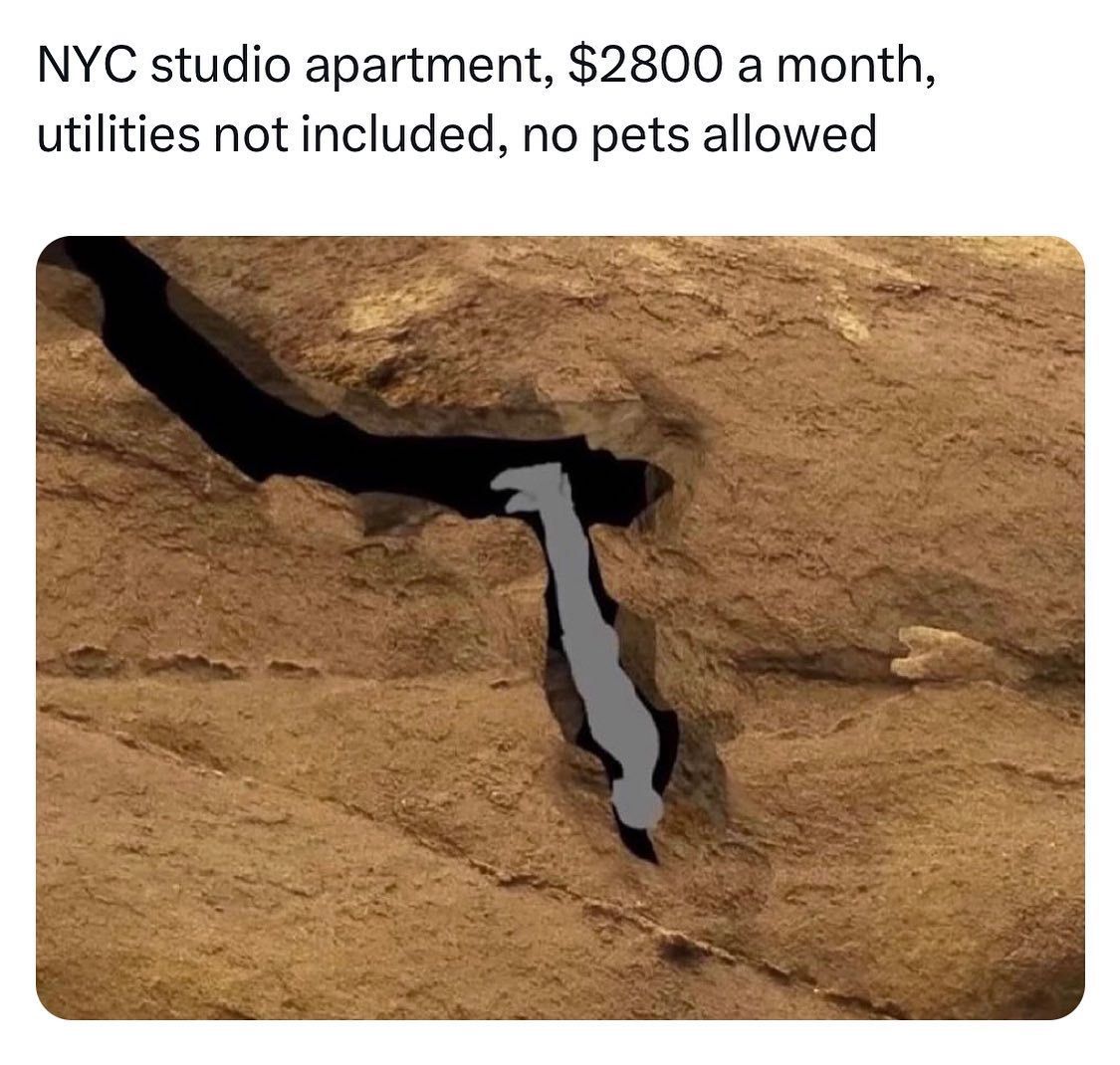 hourly_shitpost's tweet photo. https://t.co/82W9A8ggJI