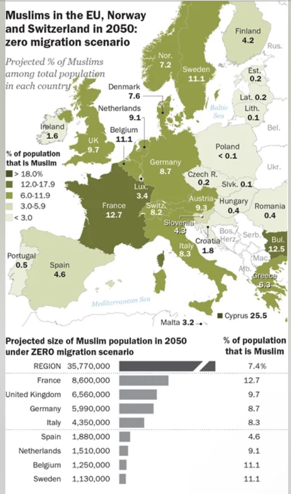 ur_lying33347's tweet photo. @WileyReid2 @LibbyLebbo @are_dumb96670 @OmniIcarus @TheOmniLiberal Another lie. Even if Europe stopped immigration (which it can’t cause incel atheist cucks like you don’t reproduce to replenish the labor force) Islam will still grow to become 10% of Europes population. https://t.co/kj5gXvyNuL