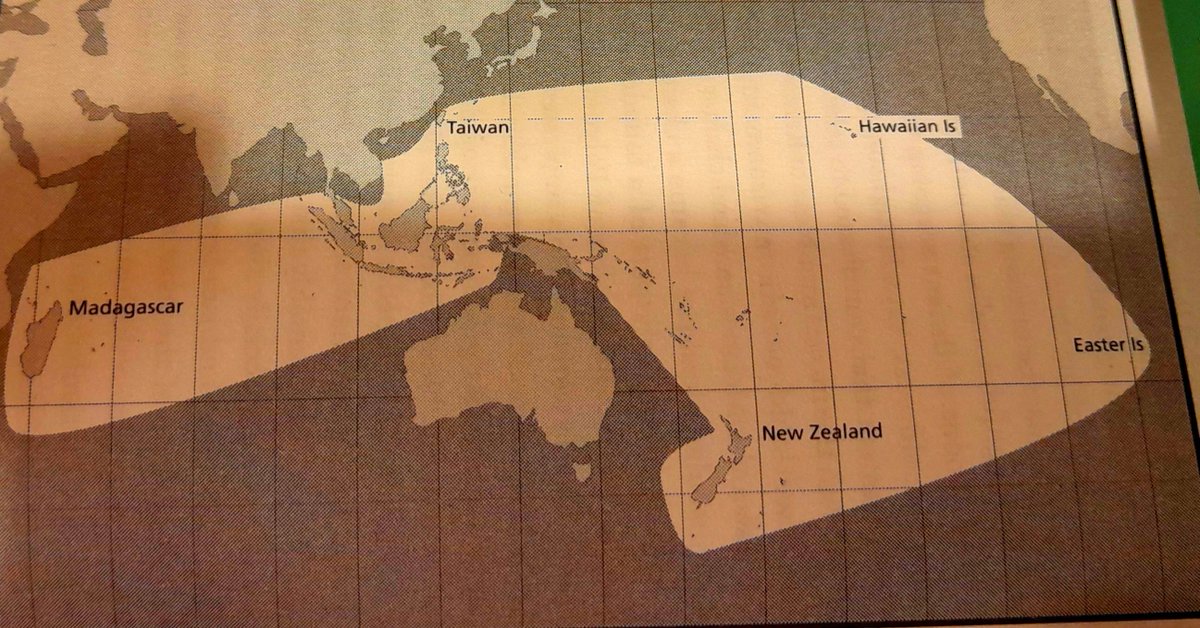 Scott Hamilton RTM tweet media