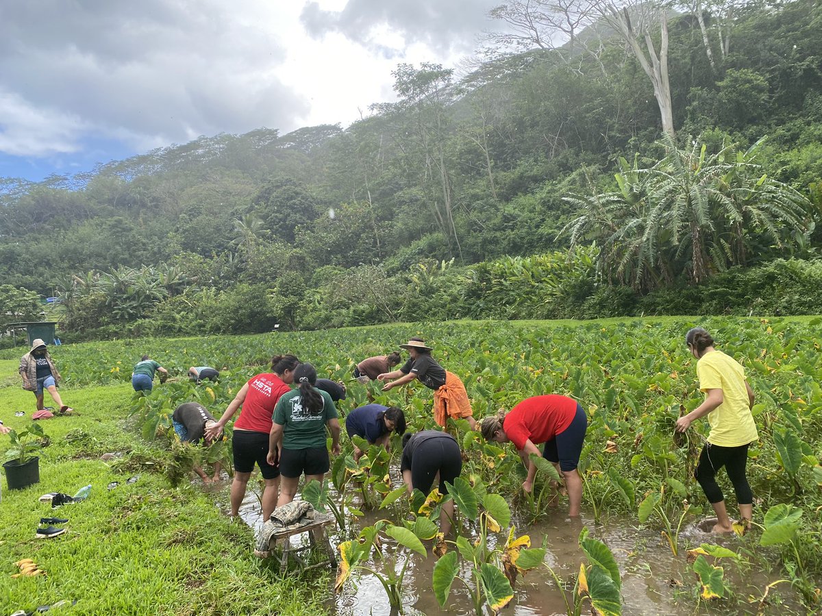 Sometimes you just need to cancel a Wednesday meeting and spend time outdoors. Mahalo to Hanalei and Kanaloa for giving us this opportunity. We will definitely be back with our keiki and 'ohana. #waiaholees #smallschoolbigheart #homestead #senseofplace