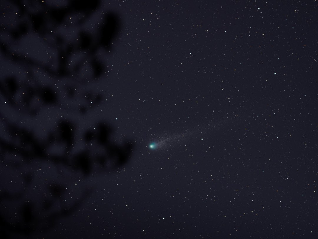 Managed to get a quick snapshot of Comet 12P/Pons-Brooks 2024 this evening (Feb 14 23:50 UTC) as it skirted around a tree. 5 min. Exposure (10*30s.) with Canon Ra and Askar FRA500 at f/3.9. #astrophotography #comet