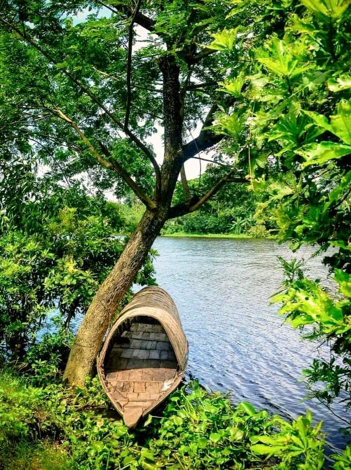 ObaidurShajon's tweet photo. তুমি যদি ব্যর্থ হও..
হতাশার কিছু নেই, শুধু মনে রাখবে,
অন্ধকার যত গভীর হয়, সূর্য তত দ্রুত
উদিত হয়। আলহামদুলিল্লাহ 💙💙 https://t.co/sebQxZ0npq