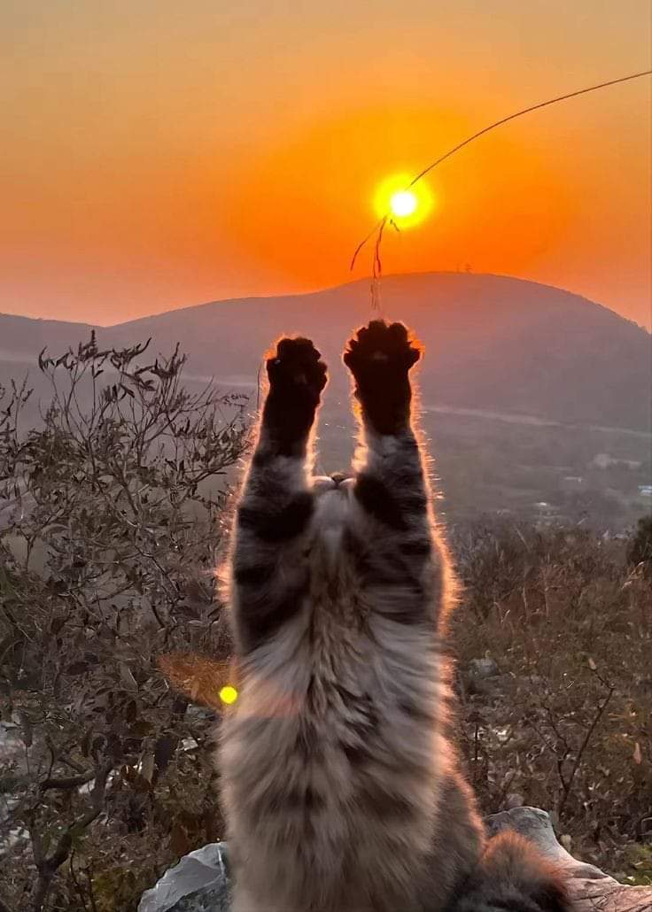 Buenos días