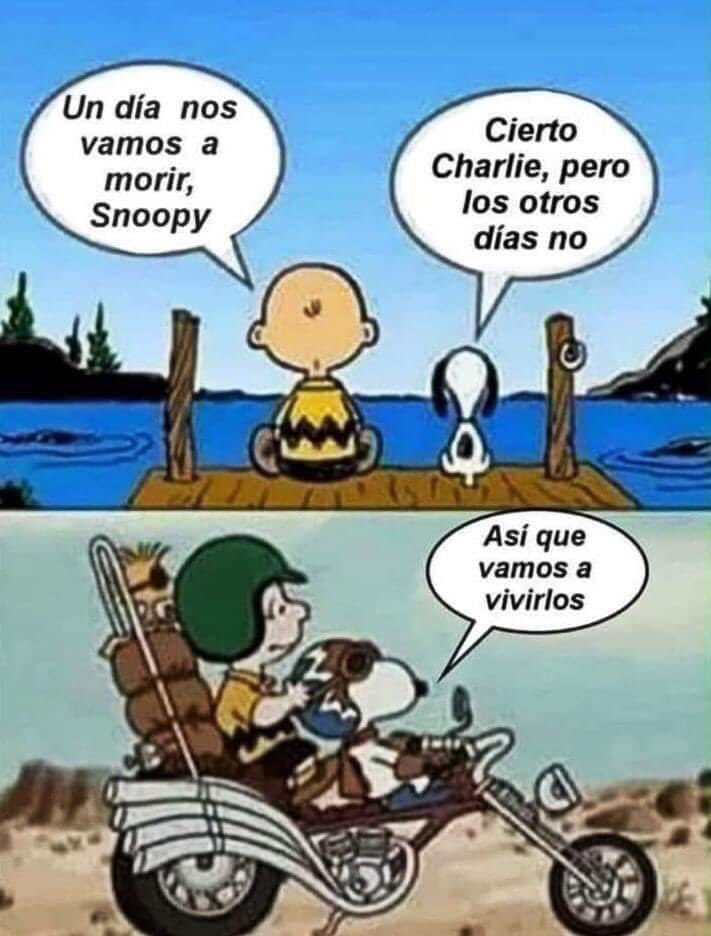 Arteymas_'s tweet image. A vivir se ha dicho!