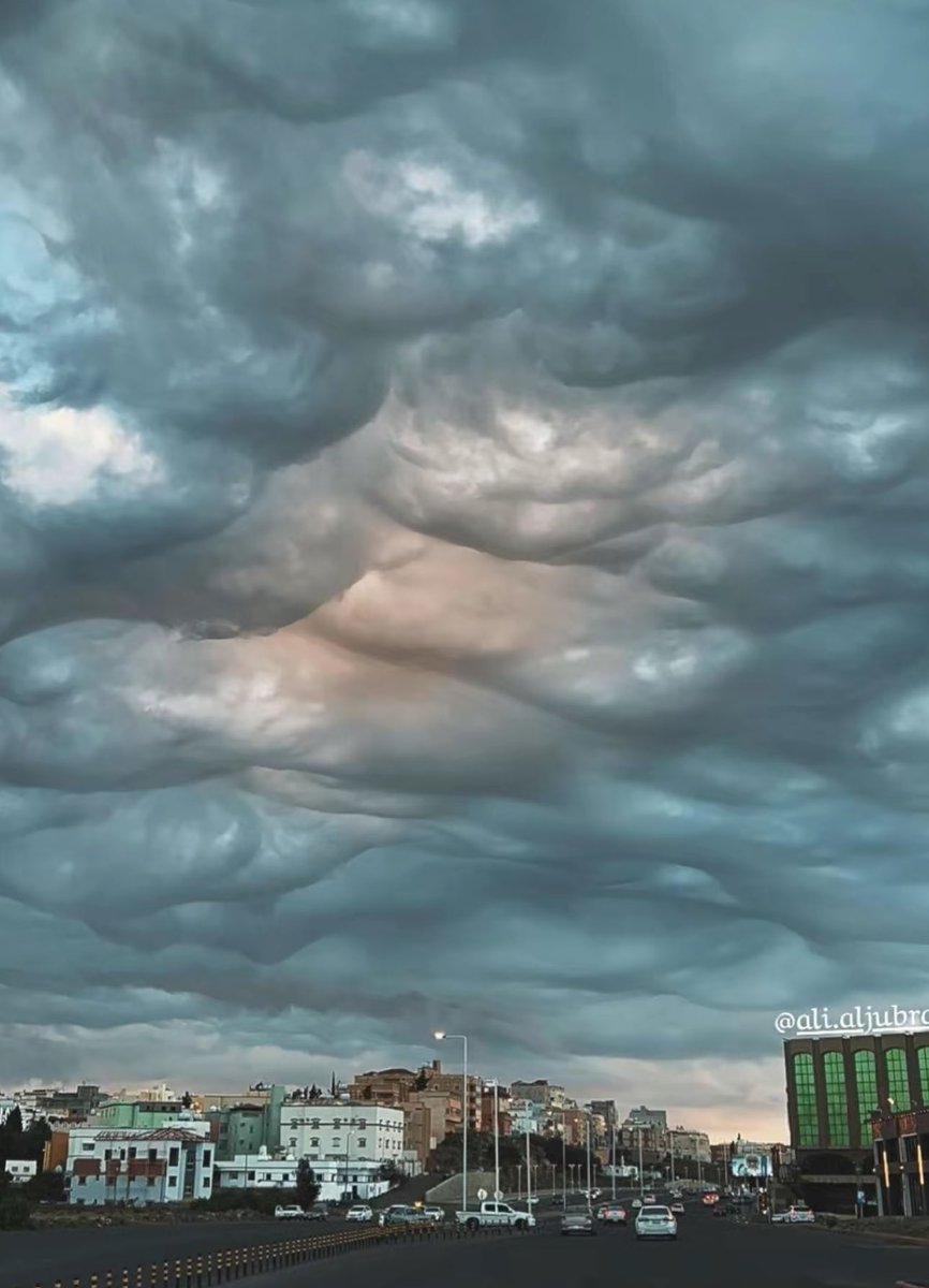 saudipopular's tweet image. سحب الماماتوس في أبها