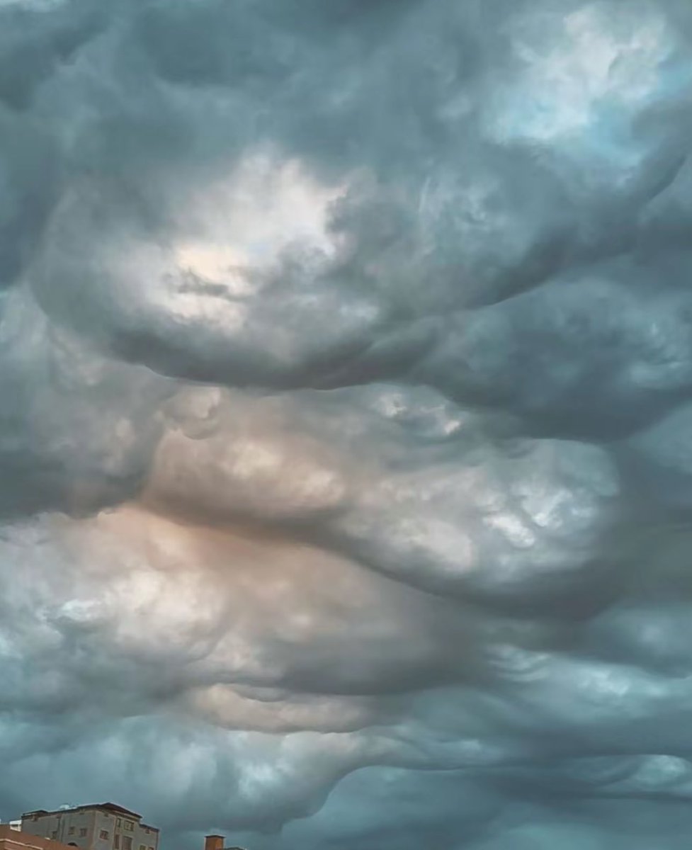 saudipopular's tweet image. سحب الماماتوس في أبها