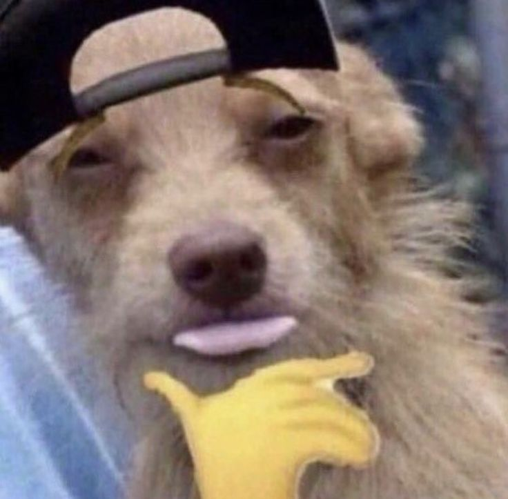 Peep the resets at Genesis bros ahaha