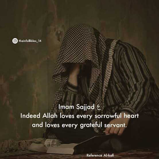 syedabishussai3's tweet image. Indeed Allah loves every sorrowful heart and loves every grateful servant.
— Imam Zayn al Abideen