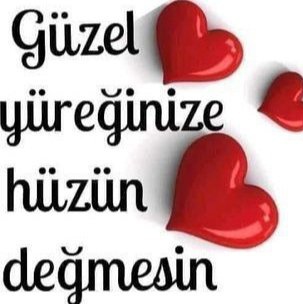 Günaydin Yeni Günümüzün Sabahına Selam Olsun 🌹🕊️🌹 @seleksultan35 @krannal38526333 @bizbizdeniz @AylaKoklu @jale___01 @mervaa13 @HabibeMert46 @AytenErtem3 @___Aysun01 @AKDAVAMM @sib_el20200 @ArzuParrlak @SibelKo1794231 @akkadinrte2 @neferSerap @htc19kbr @_gerzeli_ @sema_c7