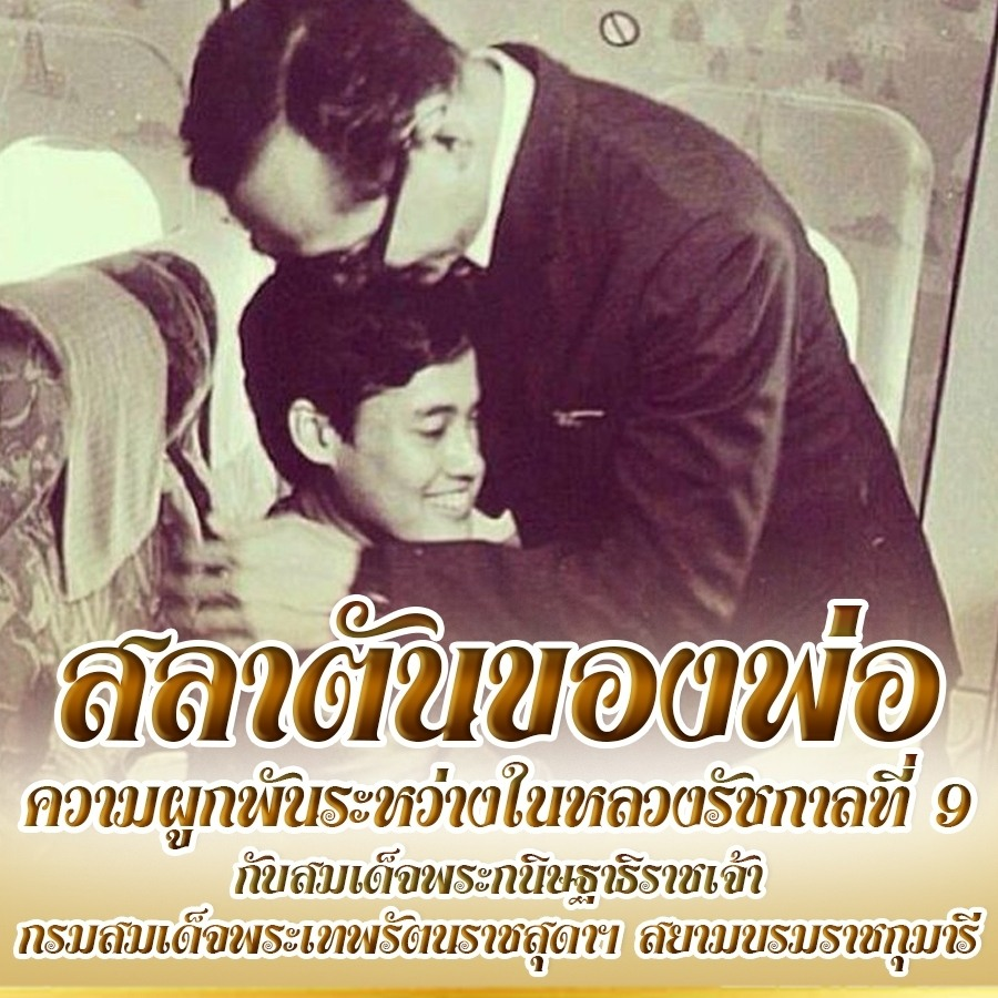 rosarin tweet media