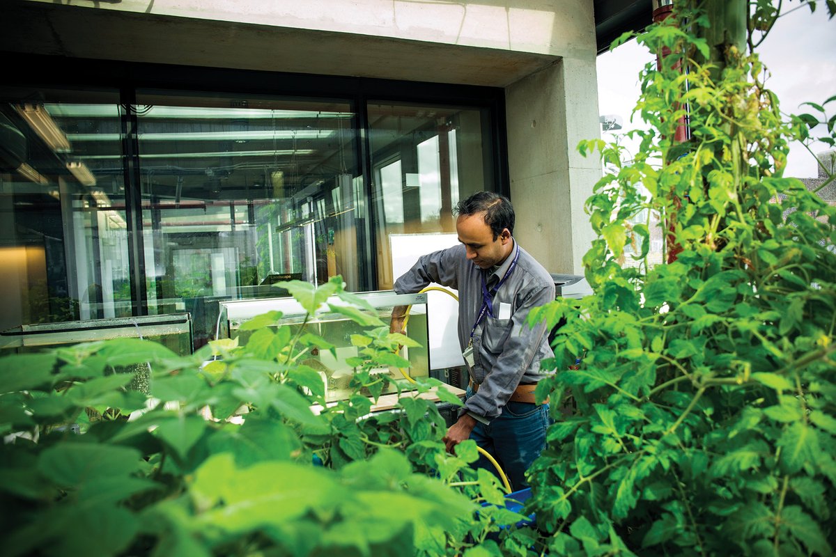 Each of our buildings provides its own challenges for sustainability 🏘️

The University’s estate comprises a huge range of building types, styles and ages. We are working to ensure that our buildings are Net Zero by 2030.

Read more 👉 orlo.uk/vf3x8