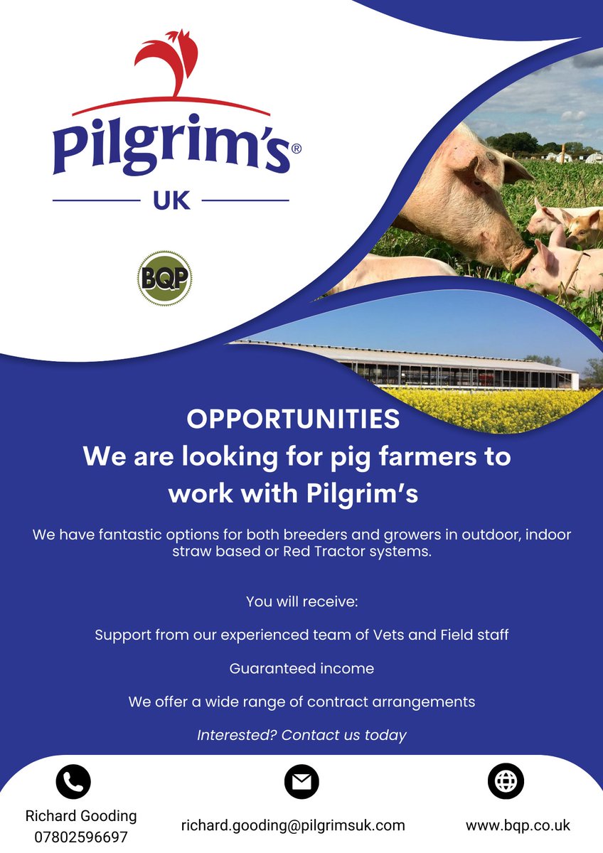 Calling pig farmers 🐷bqp.co.uk #farming #pigs
