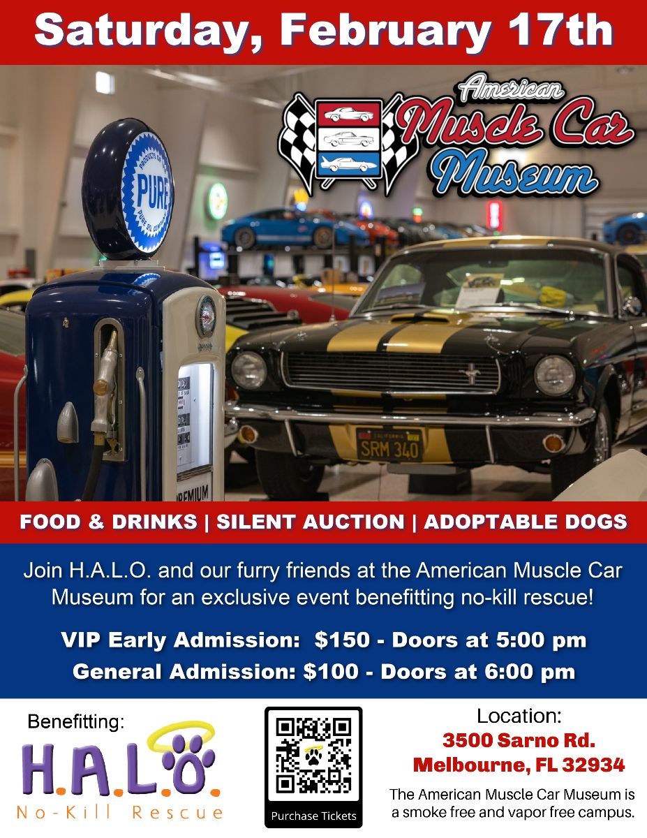 HALO_Rescue's tweet photo. This Sat., come to our exclusive event at The American Muscle Car Museum in Melbourne, Fl. All proceeds go to help care of HALO's animals. 
Over 400 classic, 70s, &amp; modern muscle vehicles.
Raffle prizes, silent auction, &amp; adoptable dogs! https://t.co/qgfH81042Z

#AnimalRescue https://t.co/XVDJjtiOBX