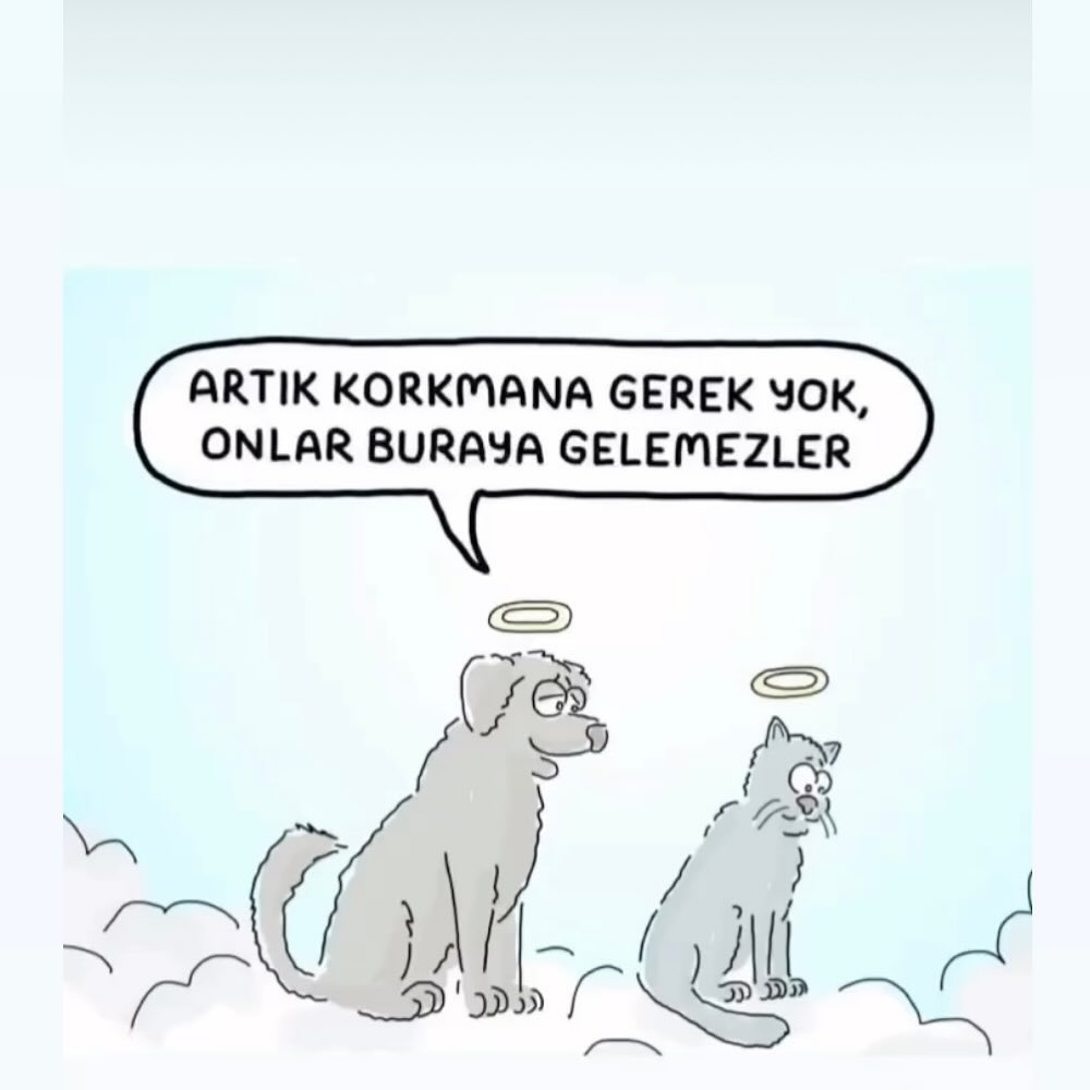 Askin0726's tweet photo. Siz bu dünyaya melek olarak geldiniz melek olarak gittiniz.
#ibrahimkeloğlantutuklansın https://t.co/zj3zCmeQtM