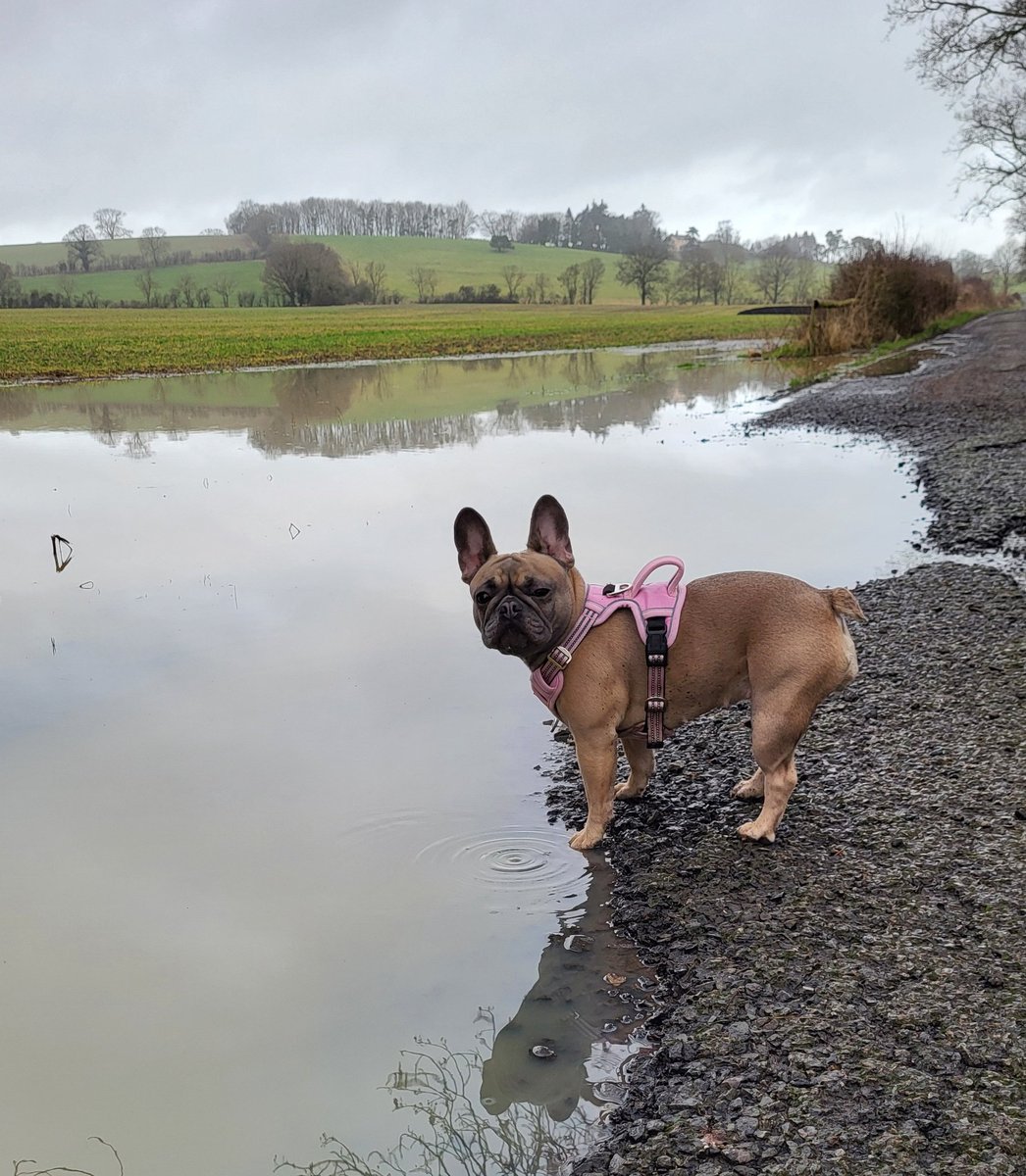 Different Wavelengths tweet media