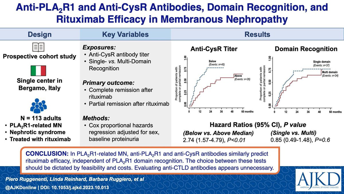 AJKD (@ajkdonline) on Twitter photo Anti–Phospholipase A2 Receptor 1 and Anti–Cysteine Rich Antibodies, Domain Recognition and Rituximab Efficacy in Membranous Nephropathy: A Prospective Cohort Study
buff.ly/3RAXmk6
<a href="/ariela_benigni/">Ariela Benigni</a> #VisualAbstract Anti–Phospholipase A2 Receptor 1 and Anti–Cysteine Rich Antibodies, Domain Recognition and Rituximab Efficacy in Membranous Nephropathy: A Prospective Cohort Study
buff.ly/3RAXmk6
<a href="/ariela_benigni/">Ariela Benigni</a> #VisualAbstract