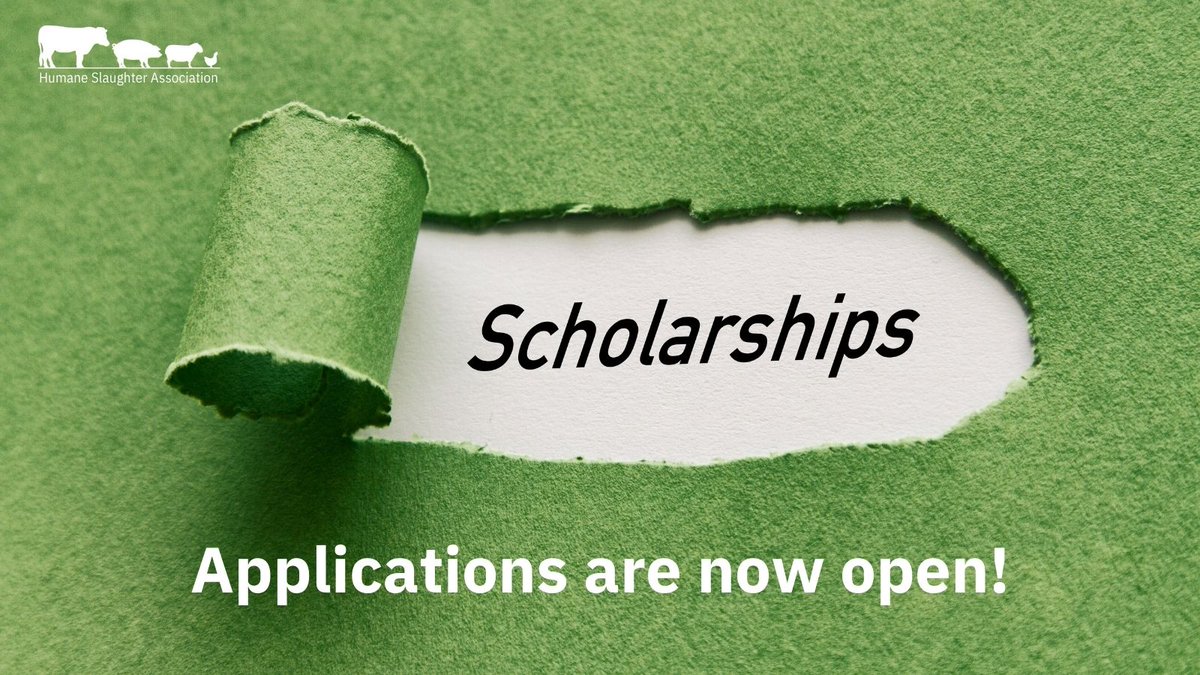 HSAofficial's tweet photo. Applications for our Student/Trainee Scholarships close on 28 February. 

If you are a student or trainee planning a project aimed at improving food #AnimalWelfare in markets, during transport or at slaughter, don’t miss out ➡️ https://t.co/n1TtFjH34R https://t.co/g7zpHNDDMi