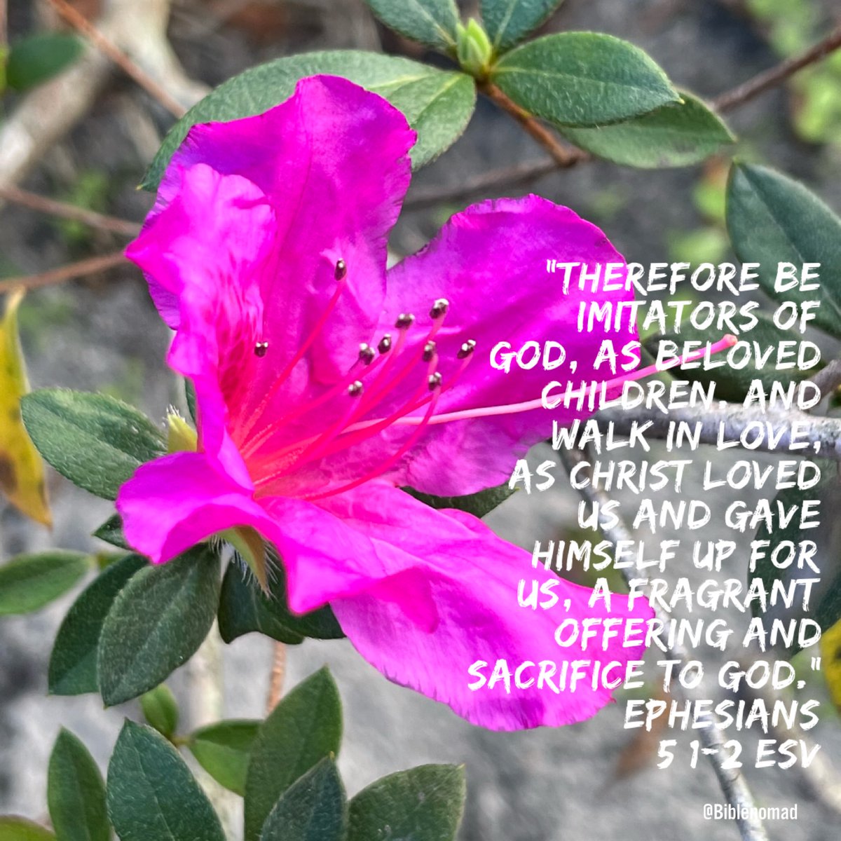 BibleNomad's tweet photo. #love https://t.co/NmQRrNAErN