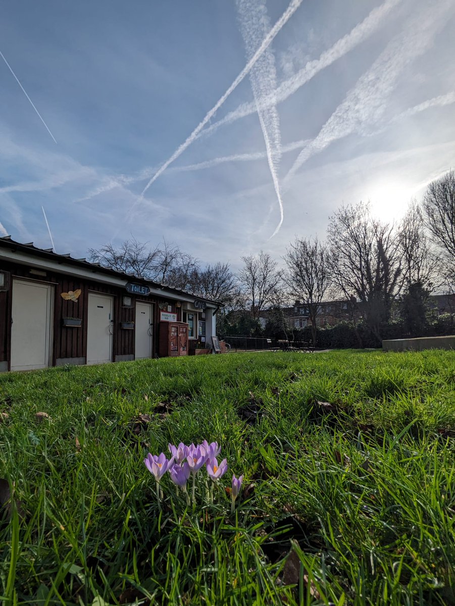 Noel Park Big Local tweet media