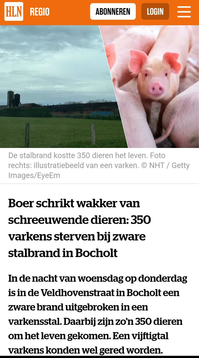 Vandaag!!🙈😭
Het blijft maar doorgaan, de stal branden. Dit kunnen we en moeten we aanpakken. 
Het moet #radicaal anders!
Lees de onderstaande link: 
hln.be/bocholt/boer-s…