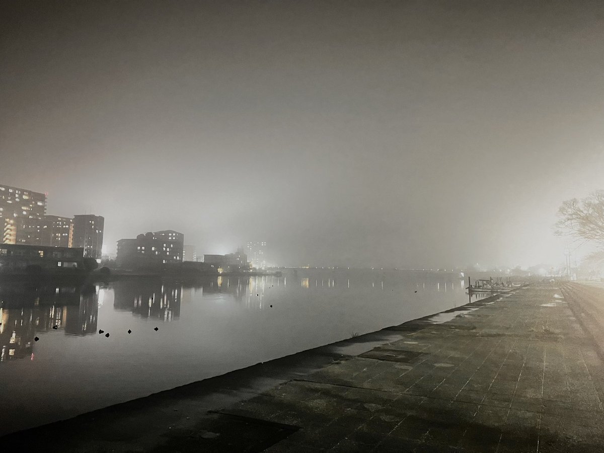 Masato_Composer's tweet image. いつもは何気なく通る景色だったけど、
気分がもやもやしてた今日は立ち止まってみた。
天気もおんなじ気分なんだなぁって思ったし、水辺でクックッて鳴く鳥たちはどんな気分なんだろうって。

なんだか少し柔らかい気持ちになった。