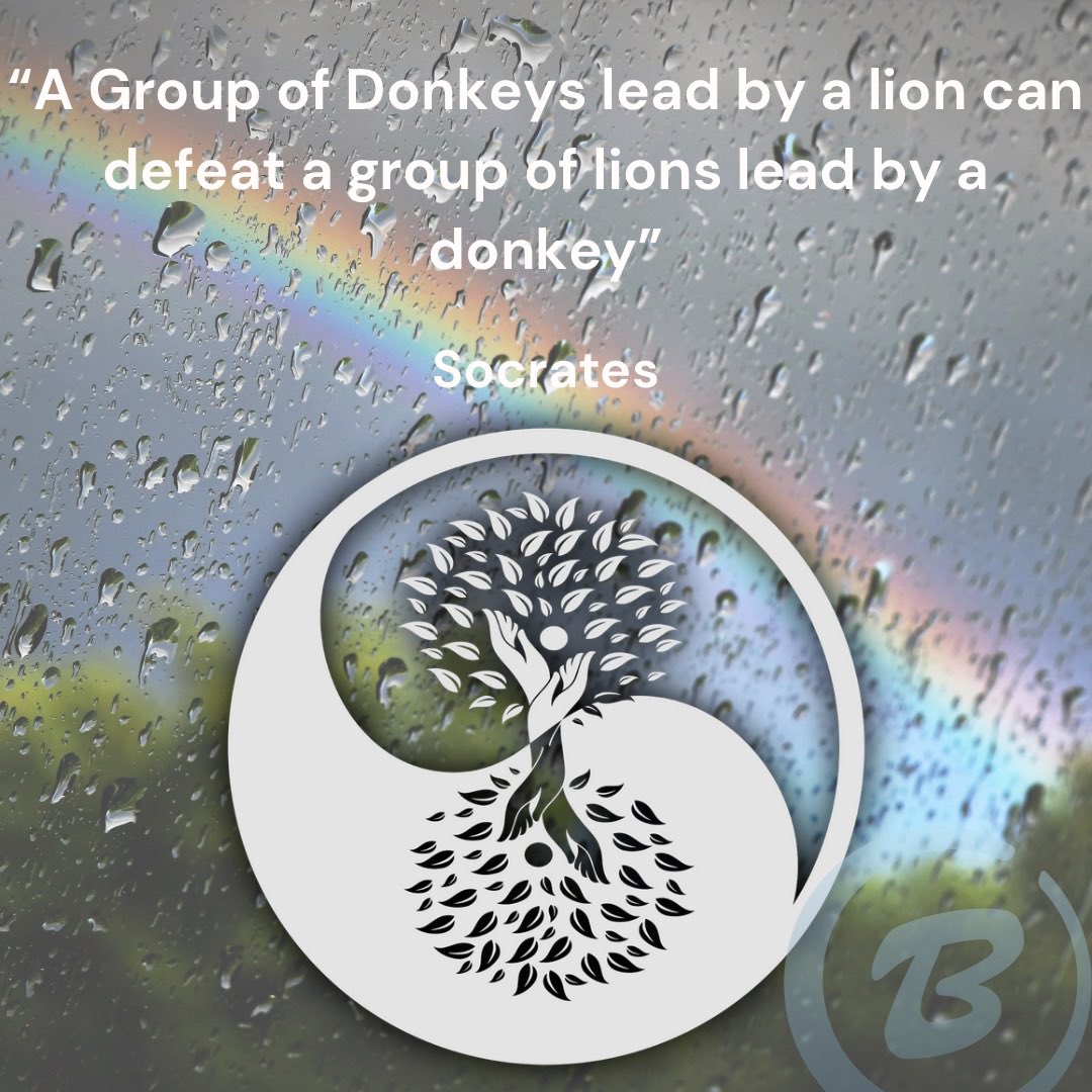 EricaMDCruz's tweet photo. Welcome back to the *Quote of the week!*
Having a suport group, doesn’t mean that we are going through a difficult time. Just the fact that you have someone to laugh with makes a difference. 
We are a unique by ourselves. But together we are amazing, change minds and moods. https://t.co/guyqruTSf6