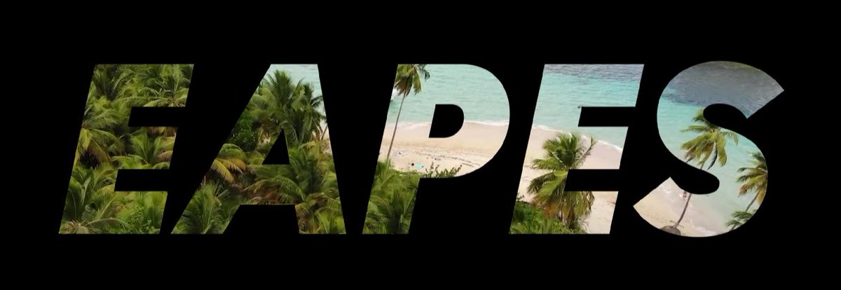 heyitsnece's tweet image. 1/7 🧵
2024 - The year of EAPES? 🦍🍌
My personal opinion on the last updates provided by the team. I will sum it up for you guys.

📰As you probably noticed yesterday in #flash-news @crypto__mercy  made an interesting announcement, since the channel is only for holders.  I will…