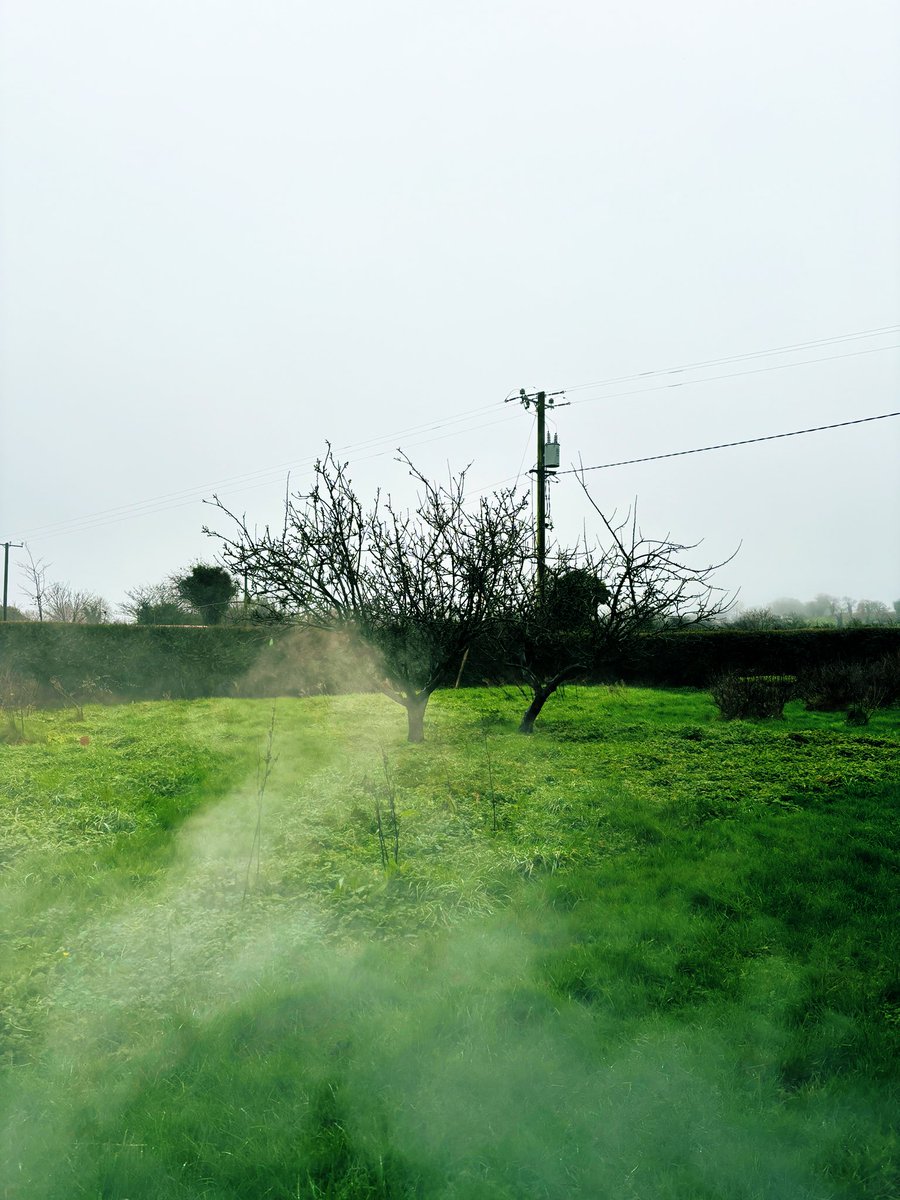 Misty start…nevertheless Happy Thursday! @BoyneValley #morning #Thursday