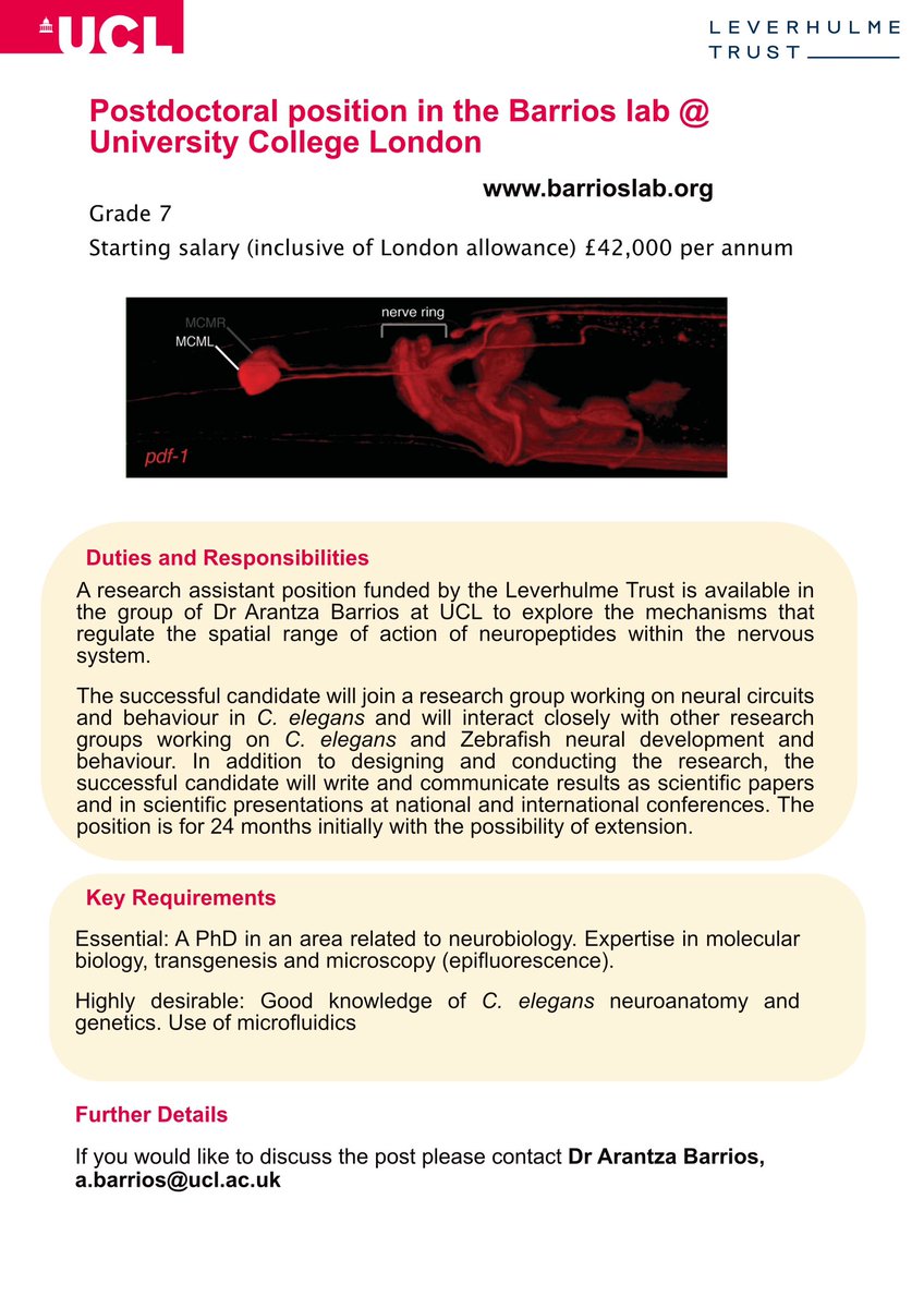 Laura Molina-Garcia tweet media