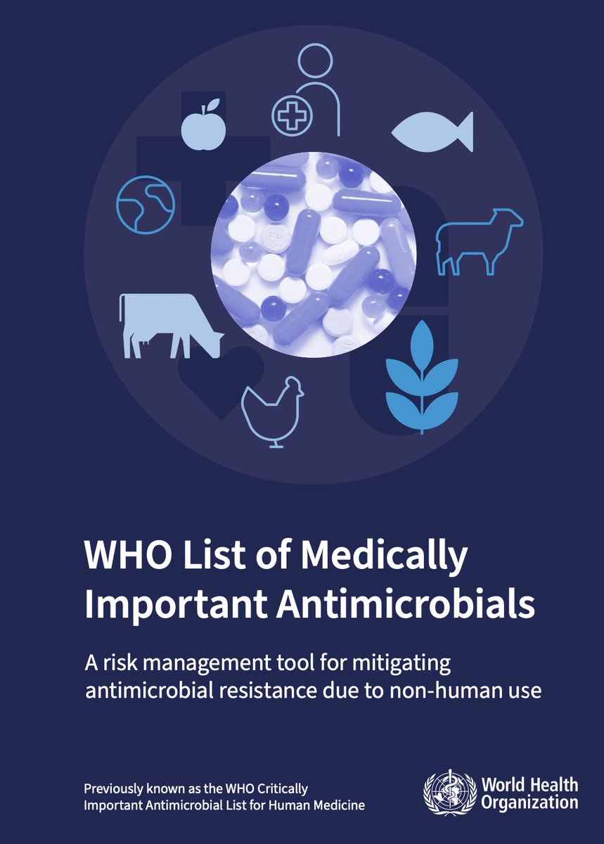 Cansu Cimen tweet media