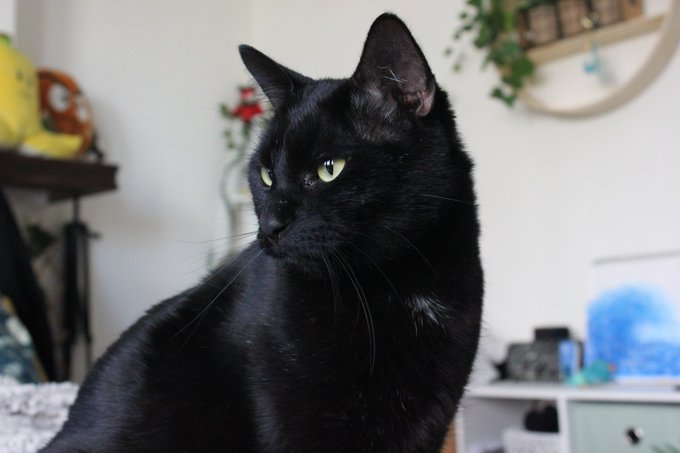 look at my pussy (i love him) https://t.co/rbrMPcsVX3
