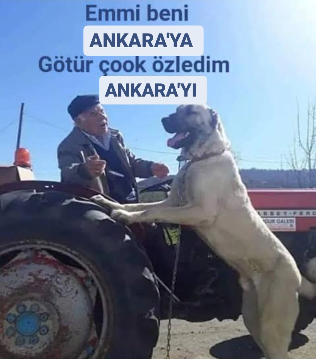 Kadir Saten tweet media