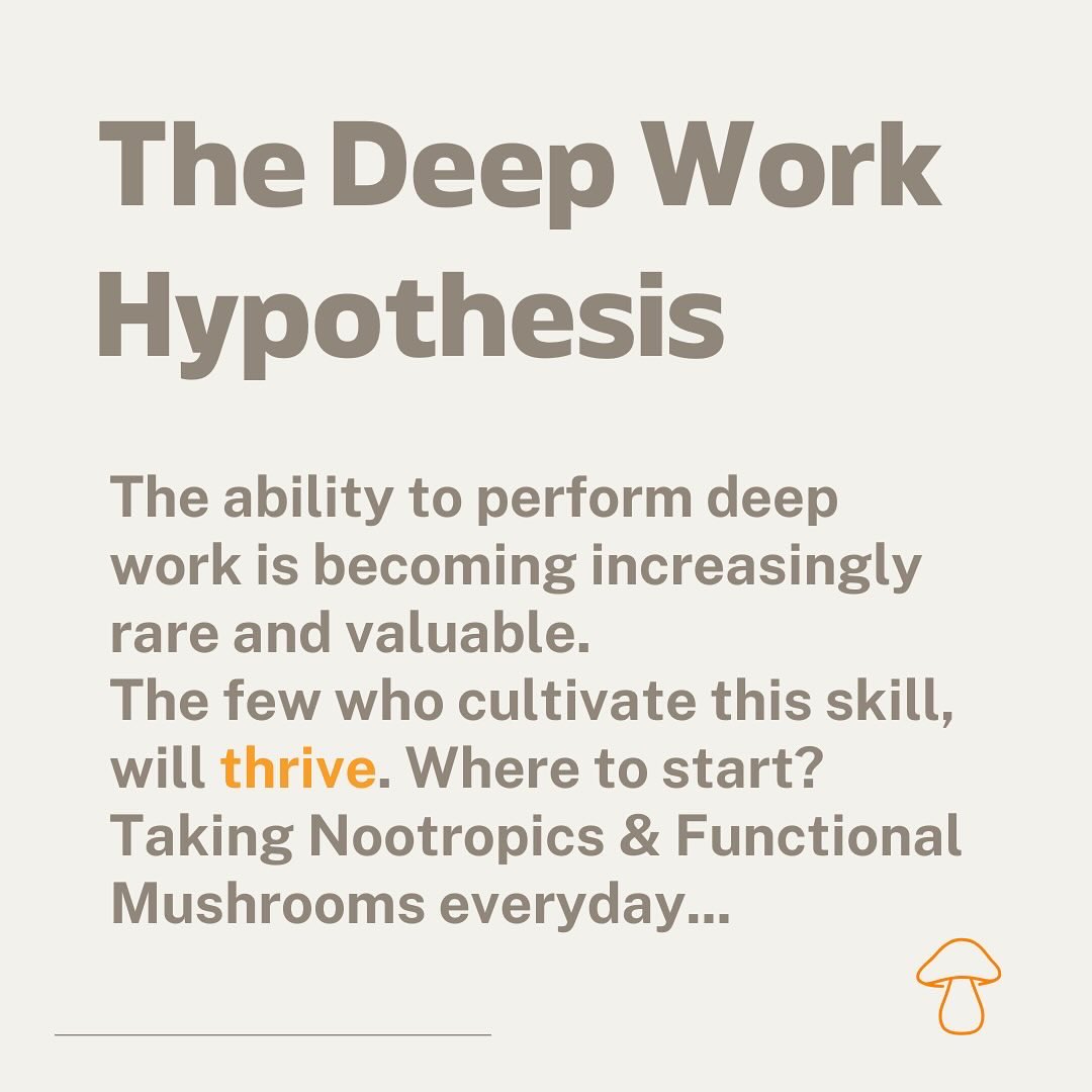 XITE Nootropic Energy tweet media