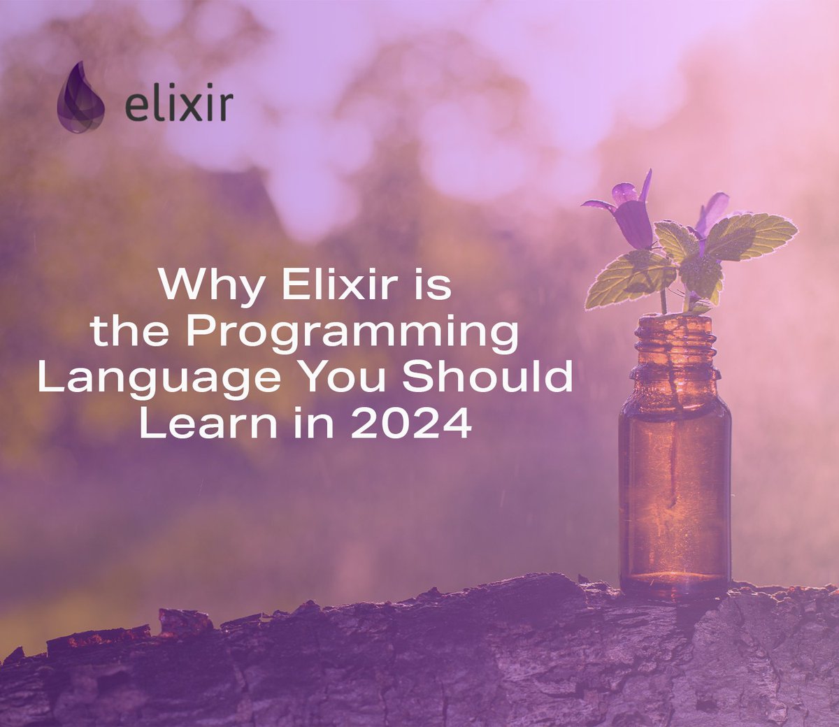 ErlangSolutions's tweet image. Our latest article delves into why embracing Elixir could be your next best step for growing as a developer in 2024. 

👉Read more: erlang-solutions.com/blog/why-elixi… 

 #Elixir #DeveloperGrowth #ProgrammingLanguage