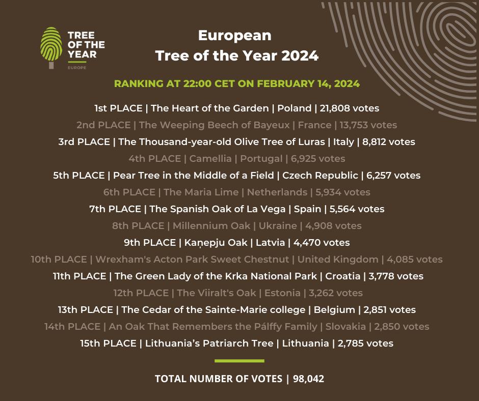 BayeuxOfficiel's tweet photo. #treeoftheyear 🌳 Classement provisoire : le hêtre de #Bayeux est passé de la 1e à la 2e position 👉 Il reste une semaine de compétition alors mobilisons toutes nos forces pour faire du hêtre pleureur l'arbre EUROPÉEN de l'année ! 📢Partagez, faites voter vos proches, vos amis, vos collègues sur https://t.co/DkCiYYDXGz