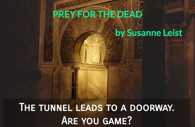 The earth rumbles.
A sinkhole opens.
We tumble into the darkness.
A glass dome slides closed.
A perfect copy of our town
appears in the mist.

🌪️Is this heaven, or is this hell?🌪️

PREY FOR THE DEAD

amzn.to/2YHf3Uz

#Darksparks  #bookworms  #paranormal