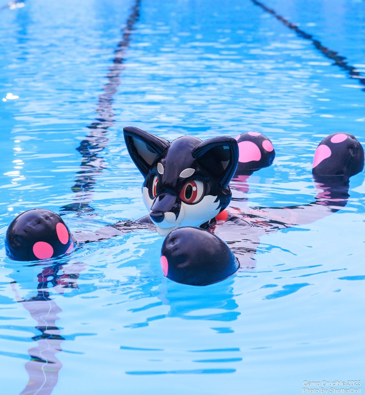 If you didn't know any better, you might think I'm just another pool toy!

What do you mean the party's over? W-wait, don't lock me in the pool shed! I'm not really a toy! Help!!

📷: @doll_shutter
Fox 🦊 Hood: <a href="/karinKariwanz/">Karin / Kariwanz カリン / カリわんズ</a> 
Paws 🐾: <a href="/RubberPaws/">Rubber Paws</a>